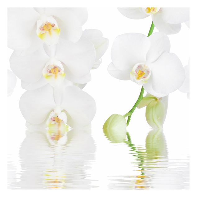 Carta da parati Orchidea Spa - Orchidea bianca