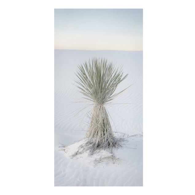 Quadri natura Palma Yucca nella sabbia bianca