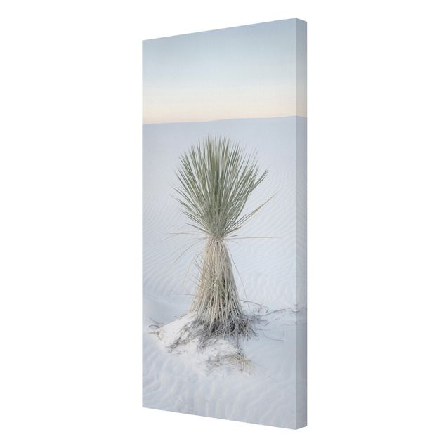 Quadri su tela paesaggio Palma Yucca nella sabbia bianca