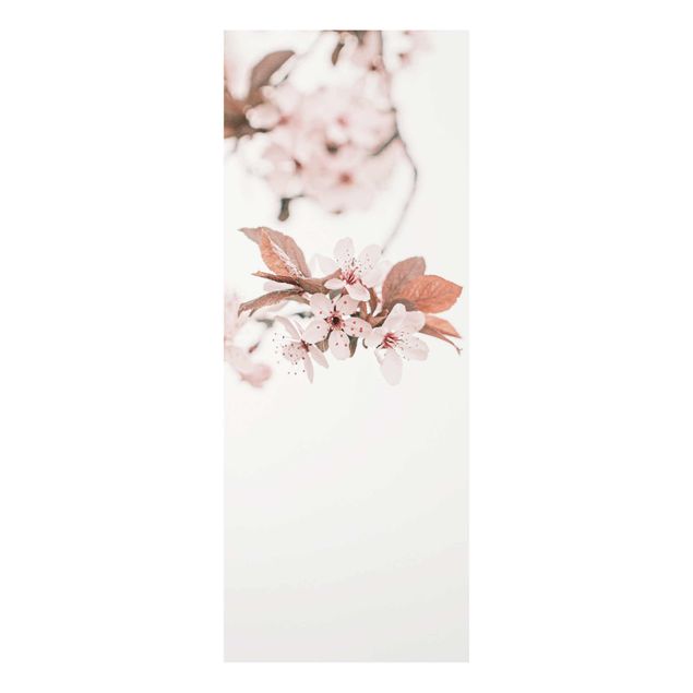 Quadri Monika Strigel Delicati fiori di ciliegio su un ramoscello