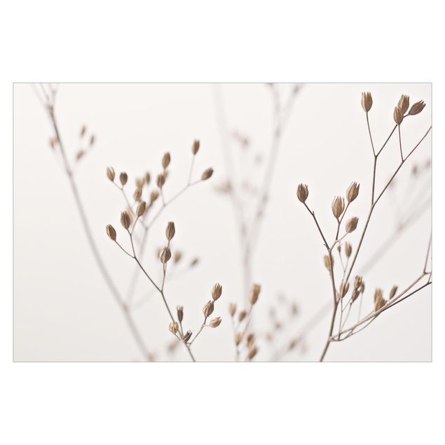 Carta da parati beige Delicate gemme su ramo di fiori selvatici
