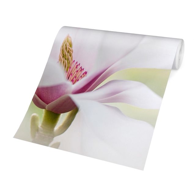 Carta da parati beige Delicato fiore di magnolia