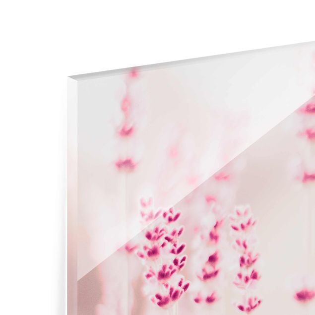 Glas Magnetboard Lavanda rosa pallido