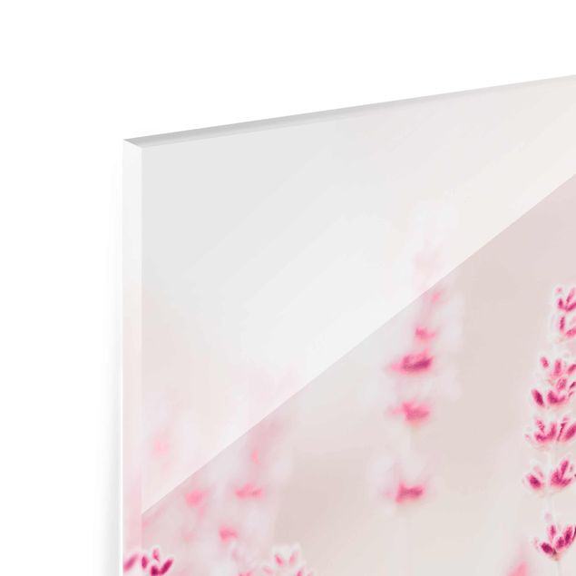 Glas Magnetboard Lavanda rosa pallido