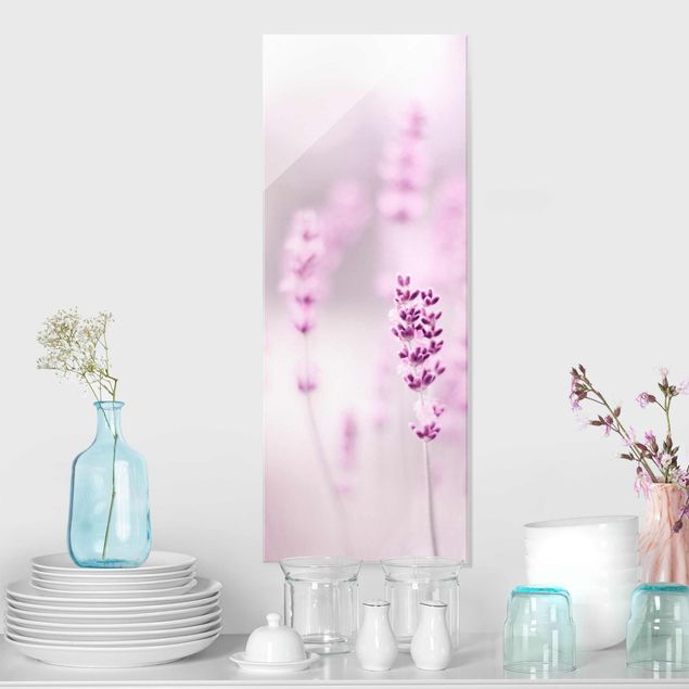 Quadri in vetro con fiori Lavanda viola pallido