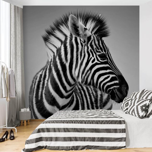 Carte da parati con zebre Ritratto di piccola zebra II