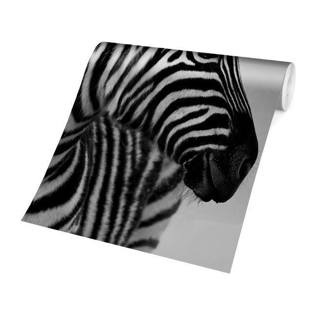 Carta da parati bianco e nero  Ritratto di piccola zebra II