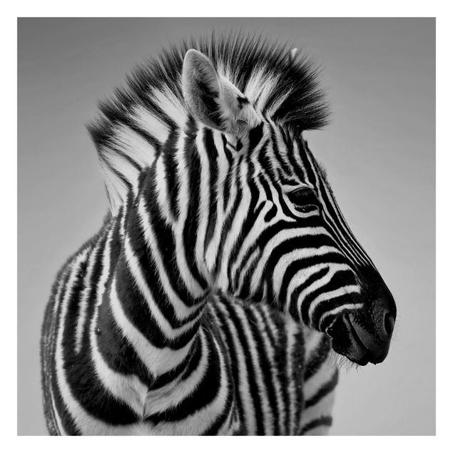 Carta da parati animali Ritratto di piccola zebra II
