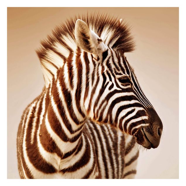 Carta da parati crema Ritratto di piccola zebra