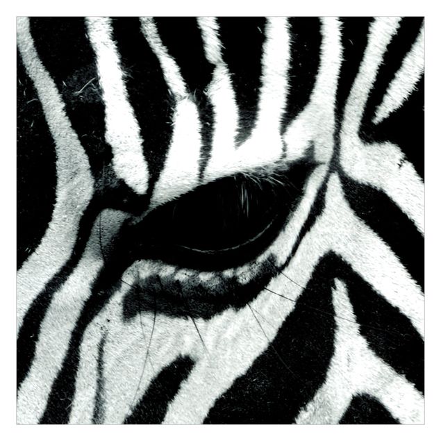 Carta da parati bianco e nero  Zebra Crossing
