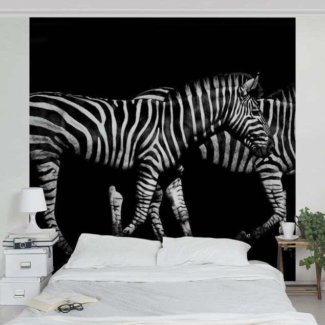 Carte da parati moderne Zebra nel buio