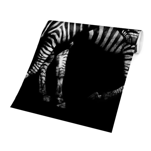 Carta da parati bianca e nera  Zebra nel buio