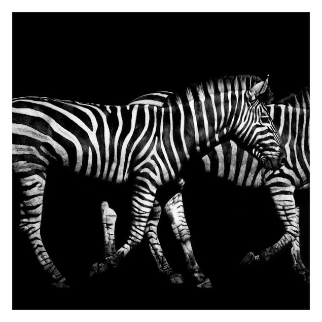 Carte da parati animali Zebra nel buio
