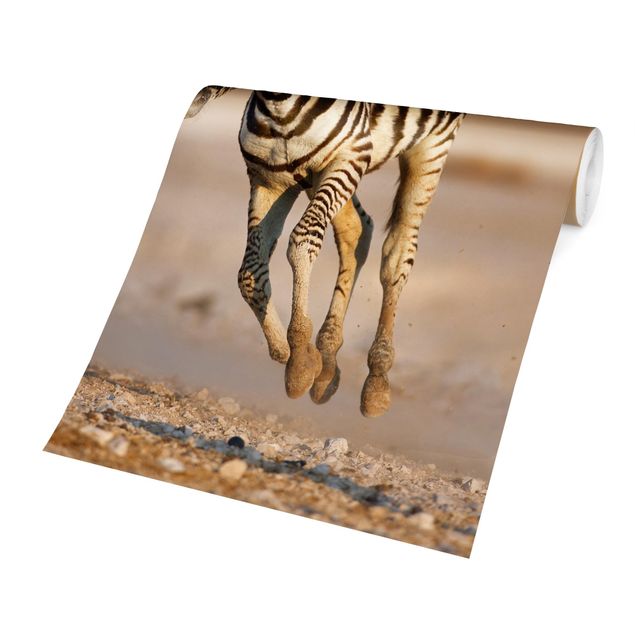 Carta da parati animali Puledro di zebra