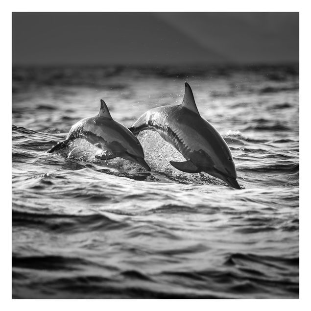 Carta da parati animali Due delfini che saltano