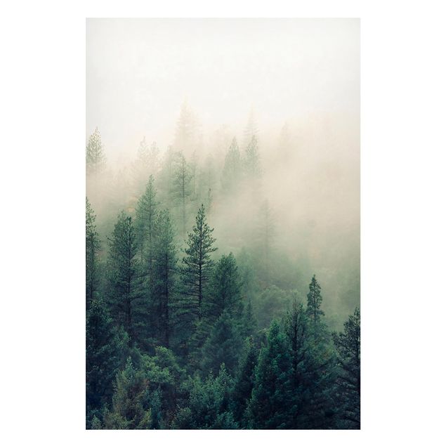 Quadri alberi Risveglio della foresta nebbiosa