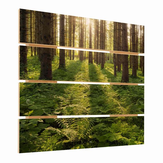 Stampa su legno - Raggi di Sun nel verde della foresta - Quadrato 1:1