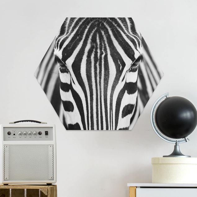Quadri zebra Sguardo da zebra