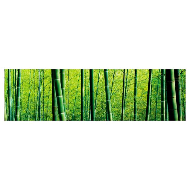 Rivestimento cucina - Foresta Di Bambù
