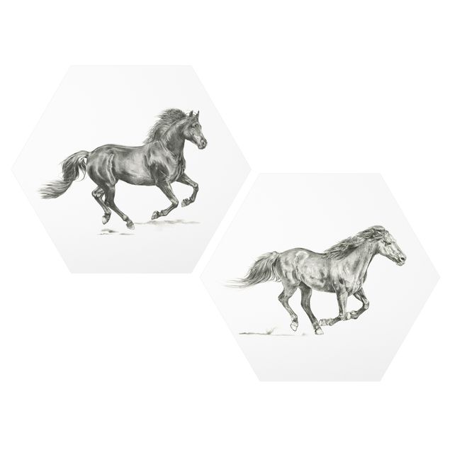 Esagono in forex - Wild Horse Studio Set I