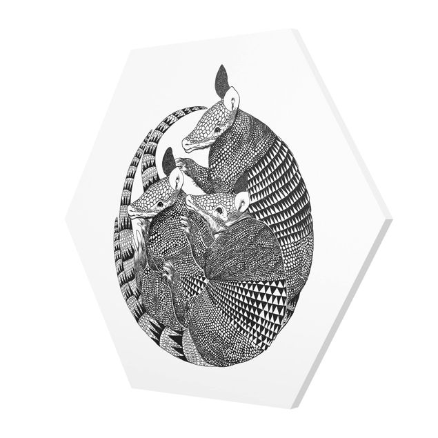 Quadri esagonali Illustrazione - Armadillo - Disegno in bianco e nero
