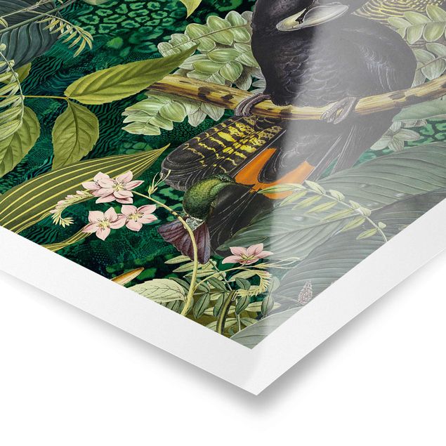 Quadri Andrea Haase Collage colorato - Cacatua nella giungla
