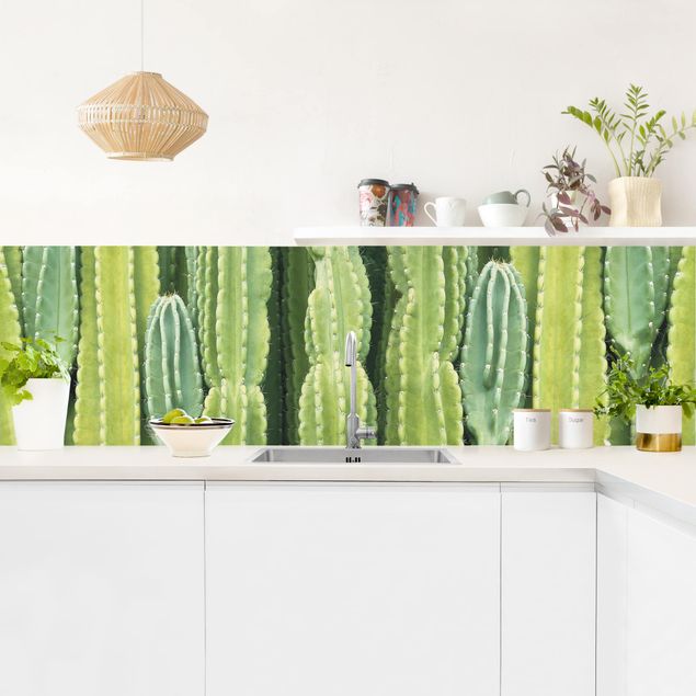Pellicola autoadesiva Muro di cactus