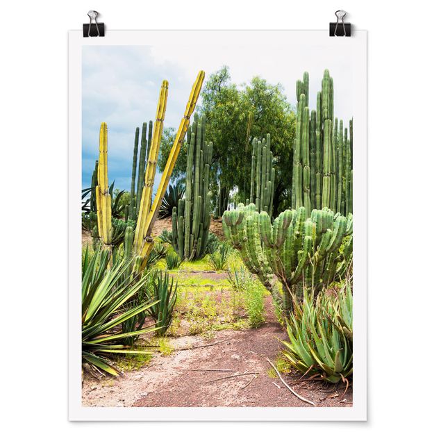 Quadri sulla natura Paesaggio di cactus
