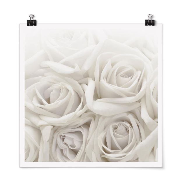 Quadri con fiori Rose bianche