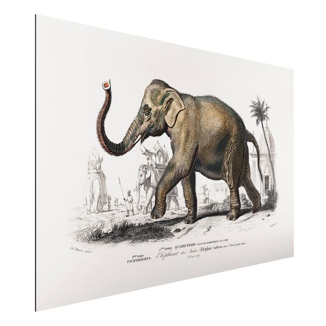 Quadro paesaggio Bacheca vintage Elefante