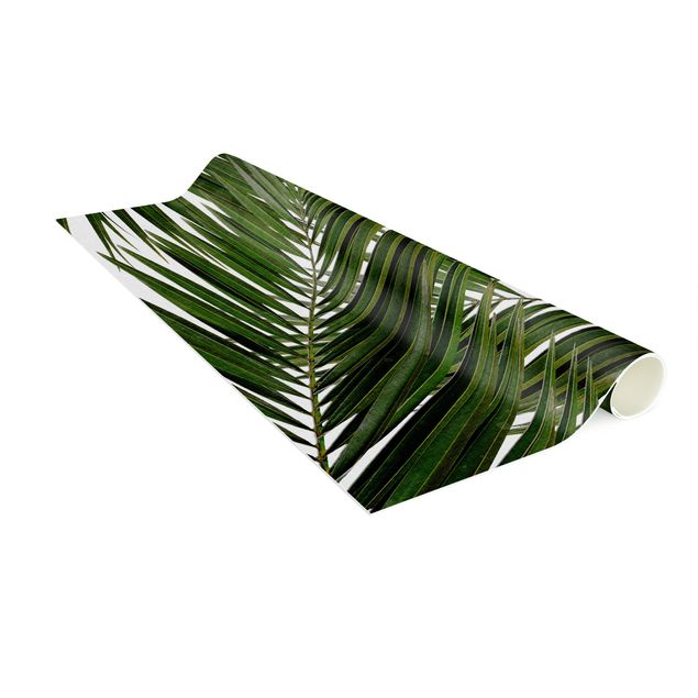 tappeti verdi Vista attraverso le foglie di palma verde