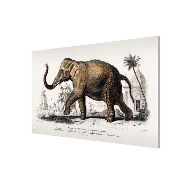 Lavagne magnetiche con paesaggio Bacheca vintage Elefante