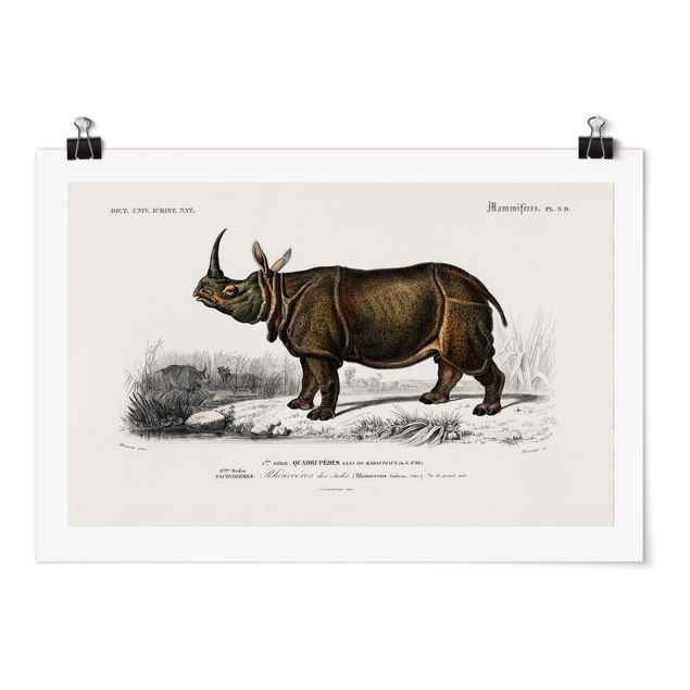 Quadri vintage Bacheca Vintage Rinoceronte