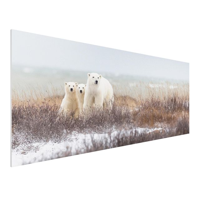 Quadri con orsi Orso polare e i suoi cuccioli