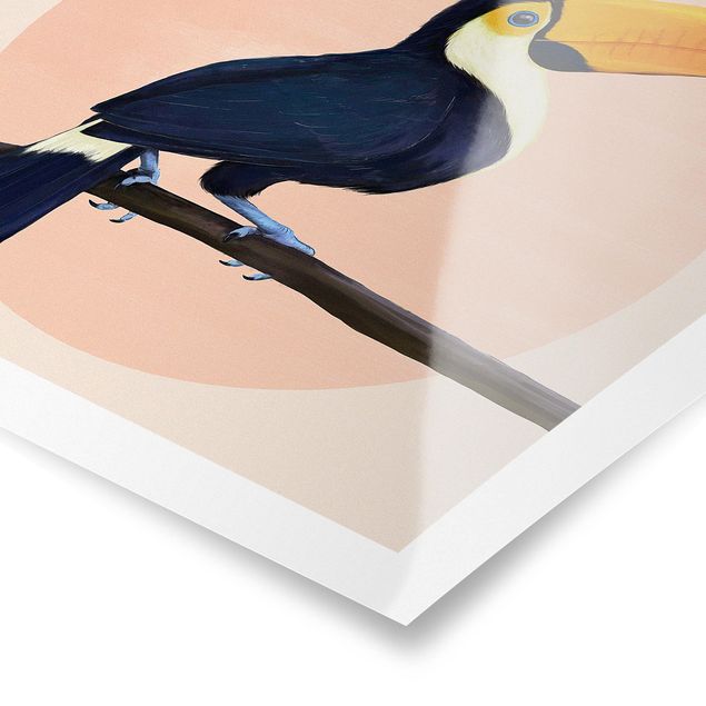 Quadri stampe Illustrazione - Uccello Tucano Pittura Pastello