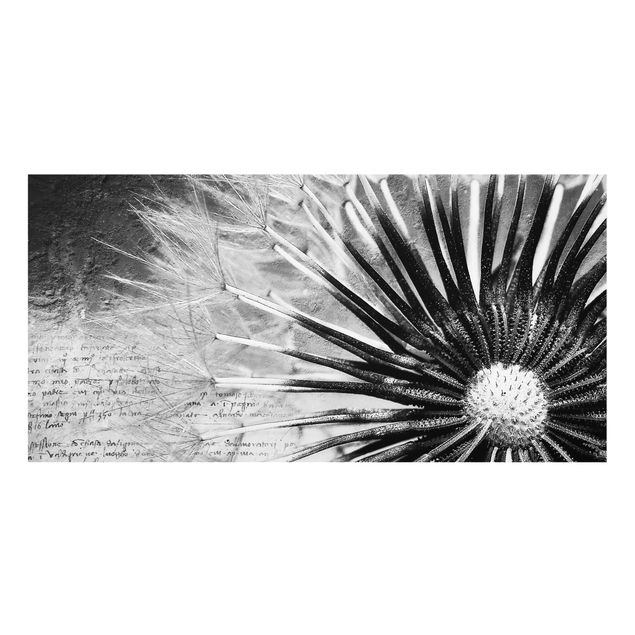 Paraschizzi in vetro - Dandelion Black & White