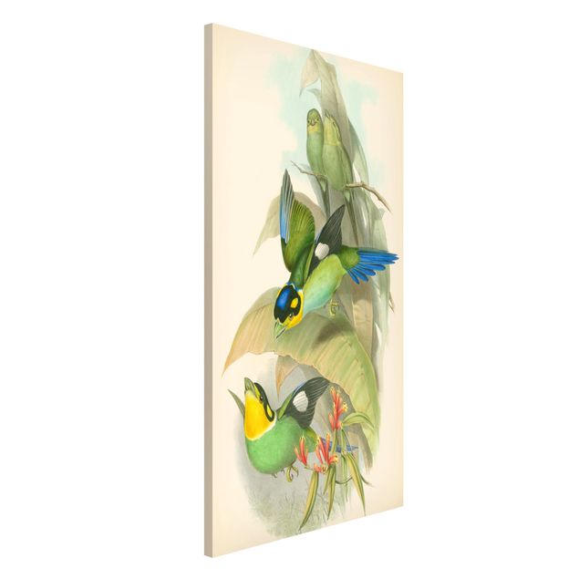 Lavagne magnetiche con fiori Illustrazione vintage Uccelli tropicali