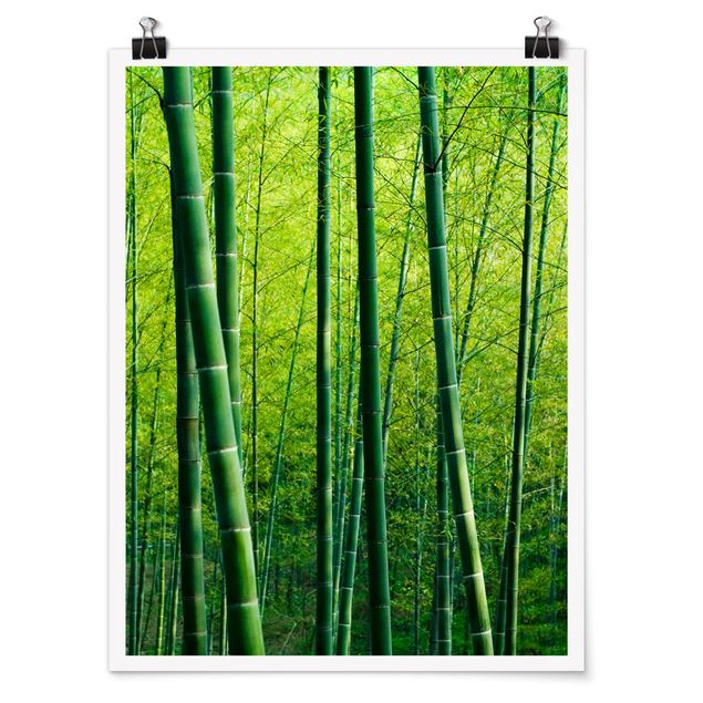 Quadri moderni   Foresta di bambù