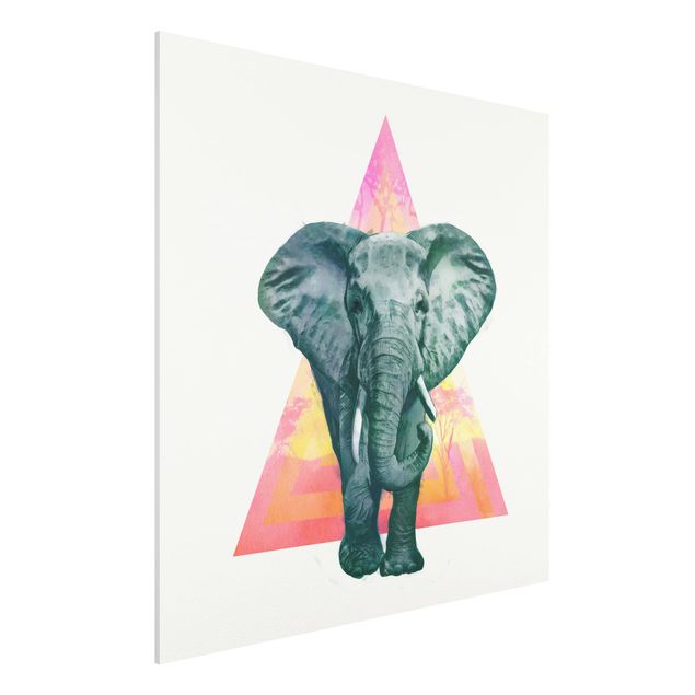 Quadro moderno Illustrazione - Elefante fronte triangolo pittura