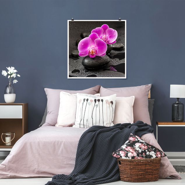 Quadri di fiori Fiore di orchidea rosa su pietra con gocce