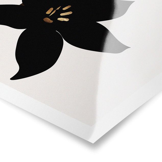 Poster bianco e nero Mondo vegetale grafico - Orchidea nera e oro
