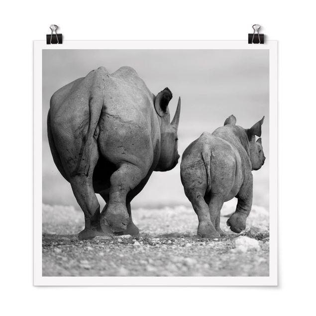 Quadri moderni bianco e nero Rinoceronti erranti II