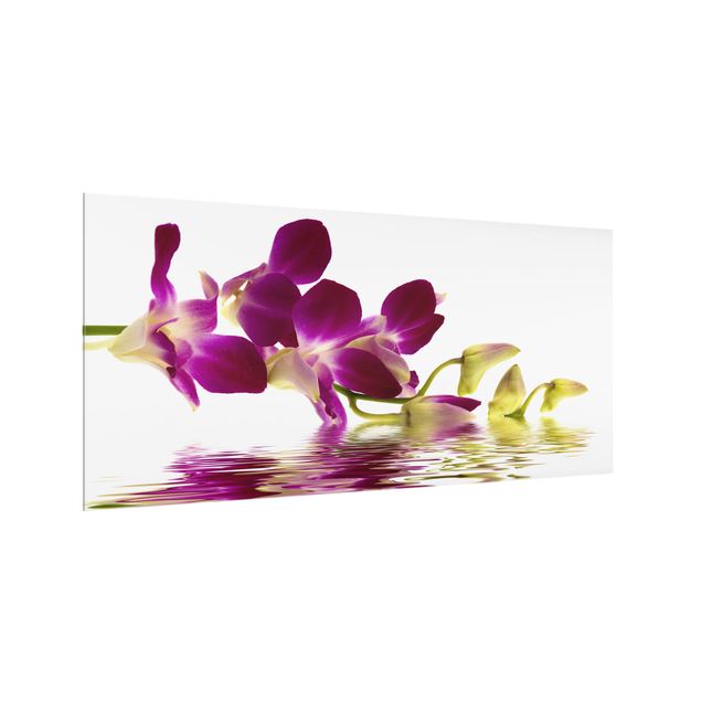Paraspruzzi cucina Acque di orchidee rosa