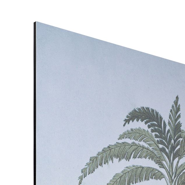 Quadro blu Illustrazione vintage - Paesaggio con palma
