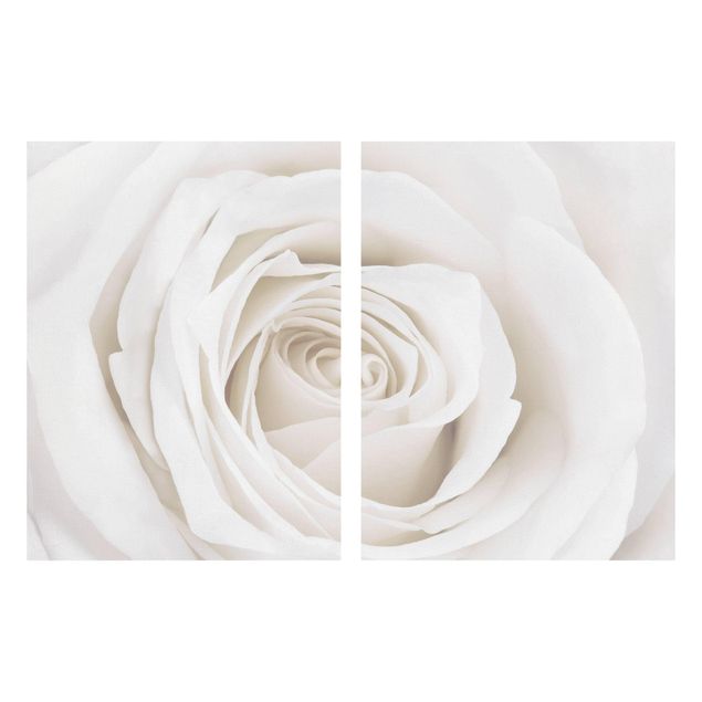 Quadri fiori Bella rosa bianca