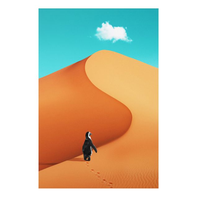 Quadri moderni per arredamento Deserto con pinguino