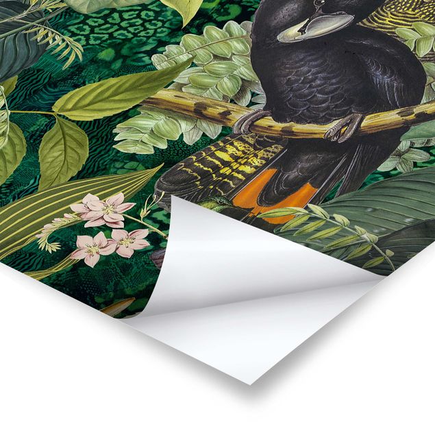 Stampe Collage colorato - Cacatua nella giungla
