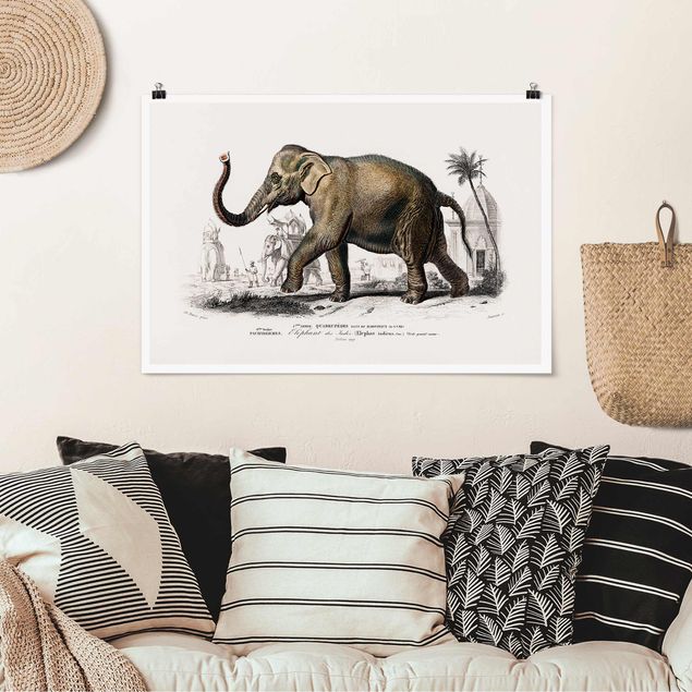 Quadri con paesaggio Bacheca vintage Elefante