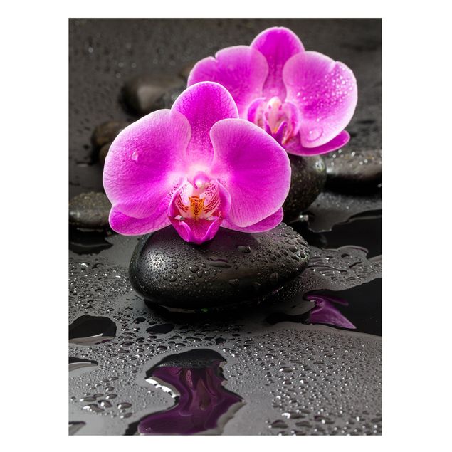 Lavagne magnetiche con fiori Fiore di orchidea rosa su pietra con gocce