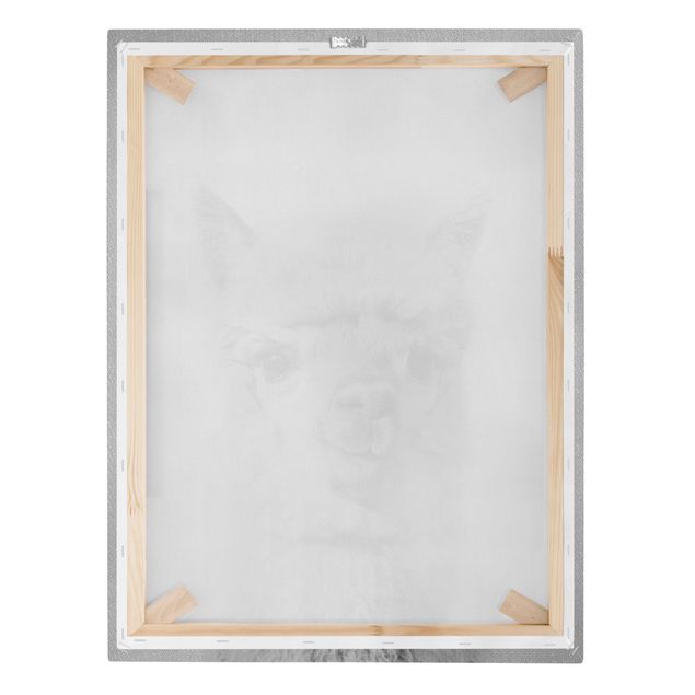 Stampa su tela - Alpaca Alfred in bianco e nero - Formato verticale 3:4